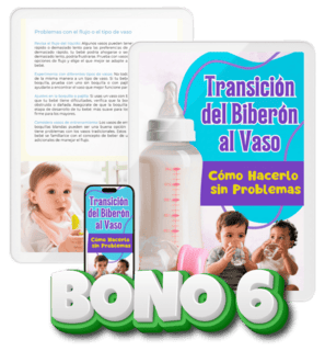 BONO6