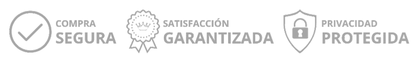SEGURO 2